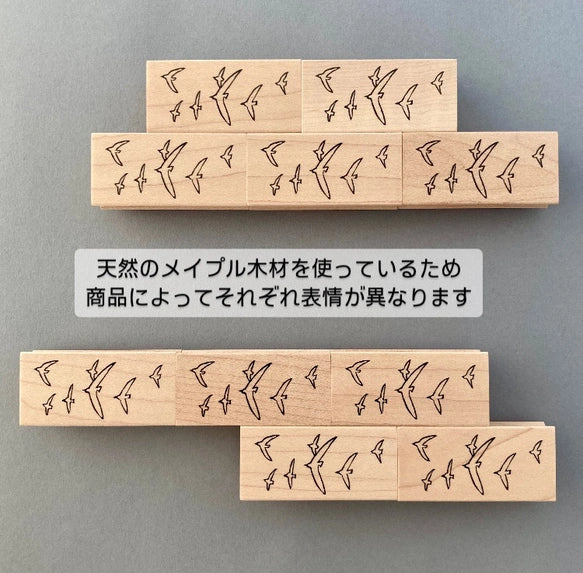 Hankodori はんこどり 0294 - Flock of birds