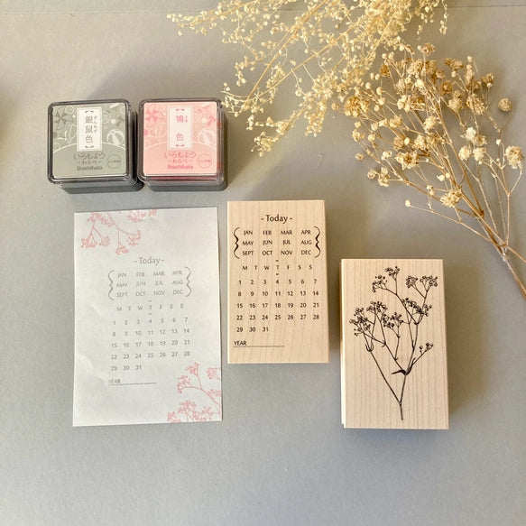 Hankodori はんこどり Vivi0005 - Calender + Bounus