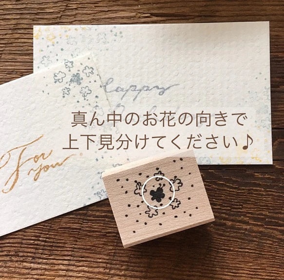 Hankodori はんこどり 0128 -  Elder Flower