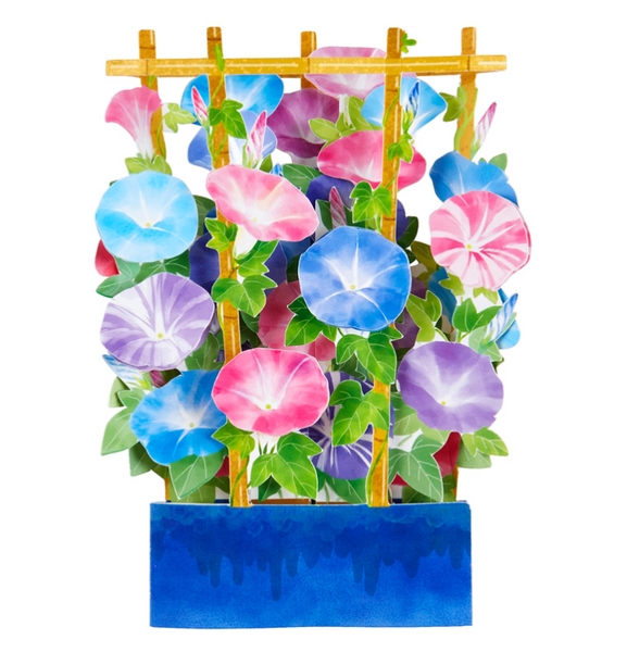 Sanrio Pop-Up Greeting Card - Potted Morning Glory  ⑬