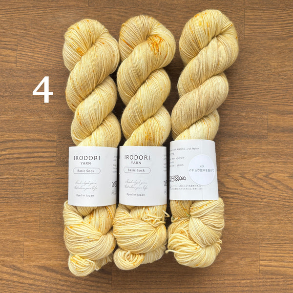Irodori Hand Dyed Yarn (Japanese Yarn Dyer)