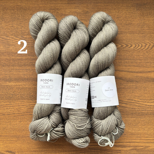 Irodori Hand Dyed Yarn (Japanese Yarn Dyer)