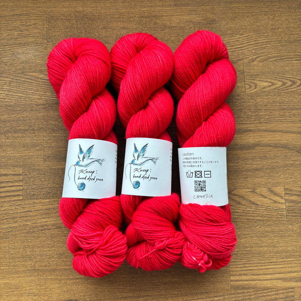 Knoop Hand Dyed Yarn (Japanese Yarn Dyer) Candy Pop 80