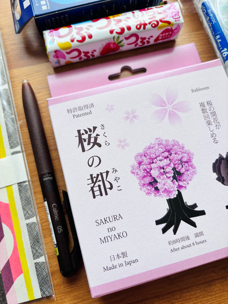 March 2025 Stationery Box *Not subscription*