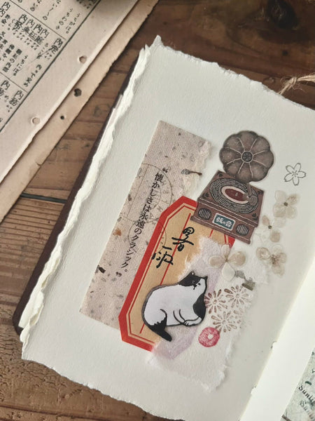 Breezy Studio: Record Store 5cm Matte PET Tape