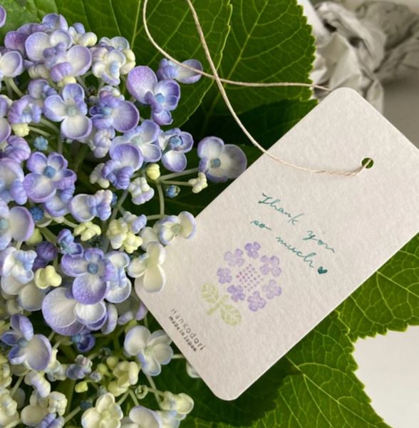 Hankodori はんこどり 0158 - Glacecap Hydrangea